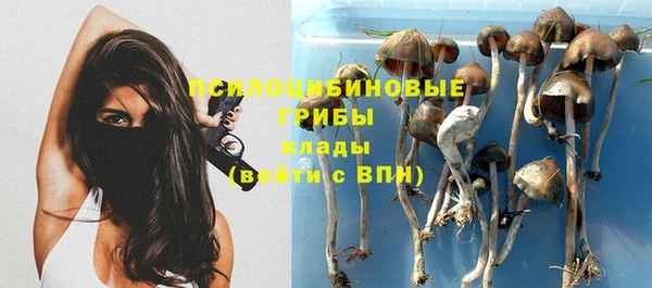 a pvp Абинск