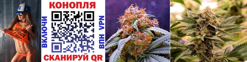 как найти наркотики  Тарко-Сале  Конопля White Widow 